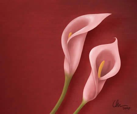 Painter X Pink Calla Lilies