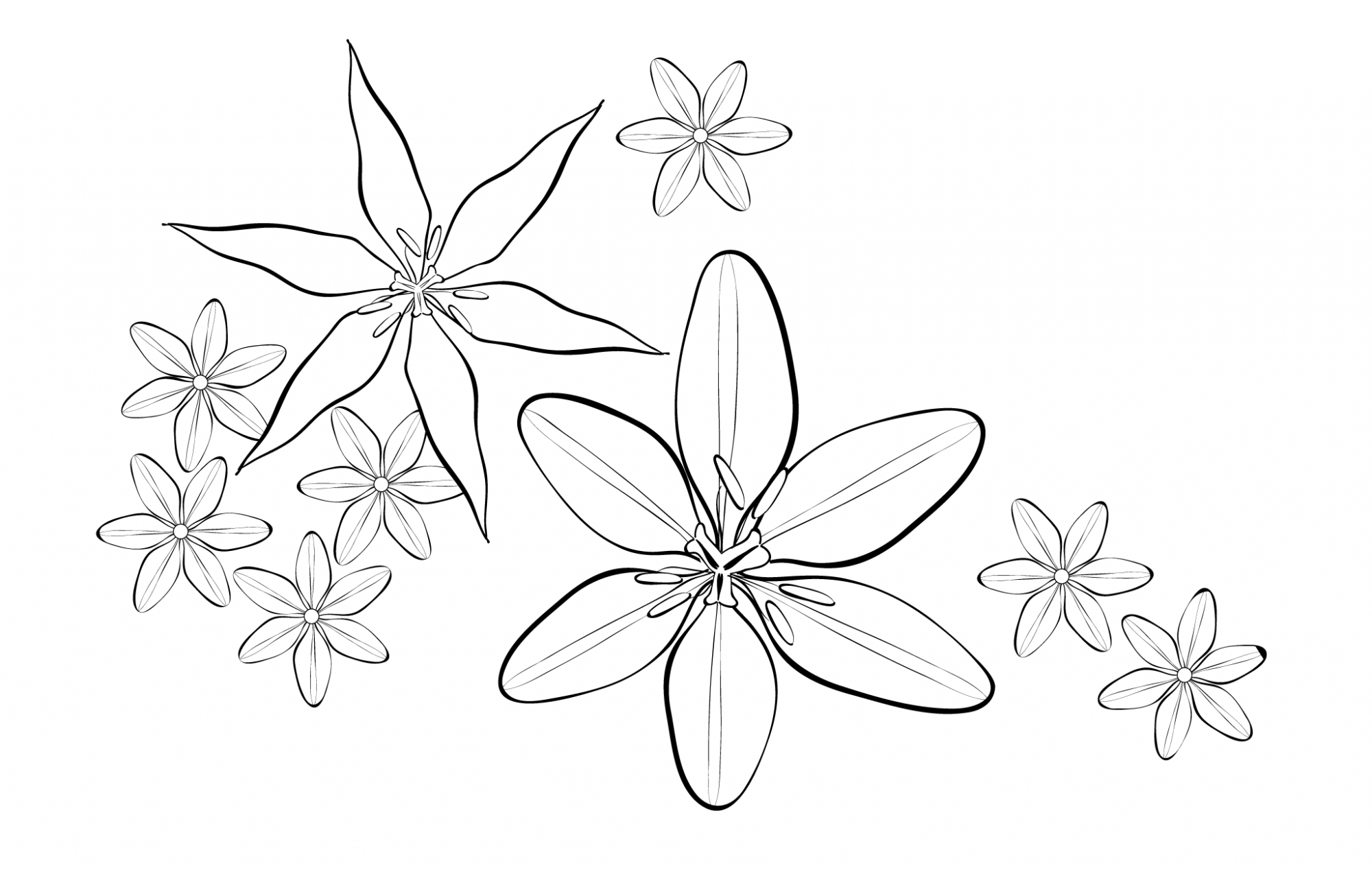 flower outline